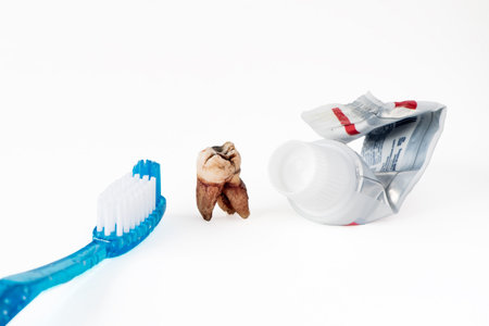 single extracted molar tooth with caries decay and filling with tooth paste and empty tube of tooth...