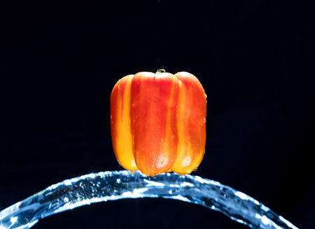 Fresh Variegated pepper gets splashed  with water on black background. Concept of summer, health and funの写真素材