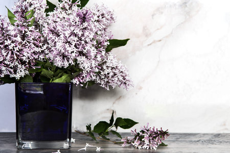 purple lilac flower bouquet in glass vase against marble background.  Mothers Day or Valentines...