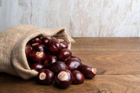 Fresh buckeye chestnut scattered of the burlap bag on wood5の写真素材