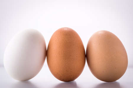 Three (3) different shades of natural organic eggs on a white background. Diversity and difference conceptの写真素材