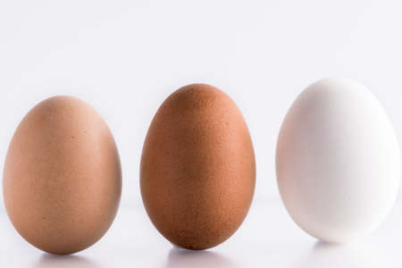 Three (3) different shades of natural organic eggs on a white background. Diversity and difference conceptの写真素材