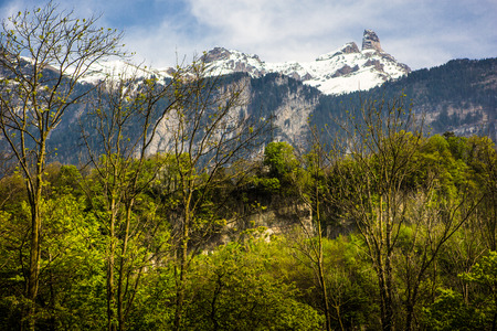 Alps, Snow & Springの写真素材