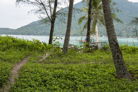 path in the jungle that reaches the sea, ko phangan island thailandの写真素材