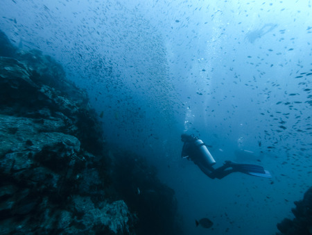 diver in the reef, ko lanta island thailandの写真素材
