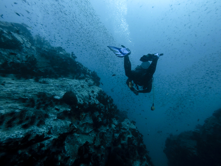 diver in the reef, ko lanta island thailandの写真素材