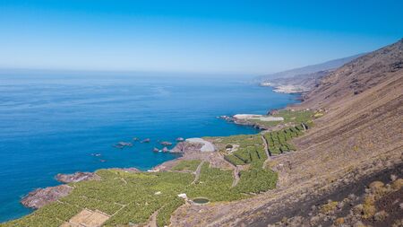 Banana cultivation on La Palma Island, Canary Islands, Spainの写真素材