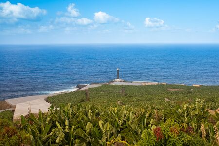 Banana cultivation on La Palma Island, Canary Islands, Spainの写真素材