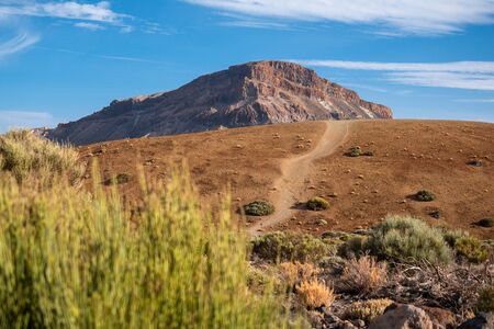 paths around of the Teide mountain, Tenerifeの写真素材