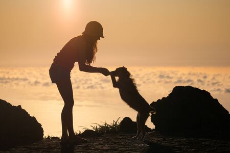 Silhouette of girl with puppy on sunsetの写真素材