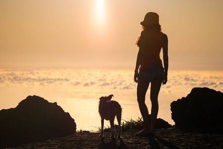 Silhouette of girl with puppy on sunsetの写真素材