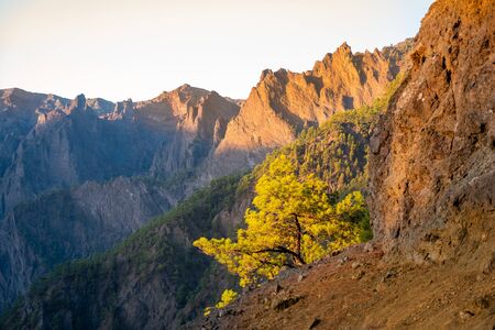 The woods Cumbrecita mountains in the Caldera de taburiente national parkの写真素材