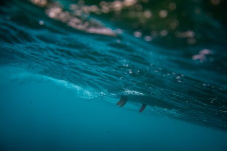 Barrel wave underwater with surfboard. Ocean in underwater , fuerteventura canary islandsの写真素材
