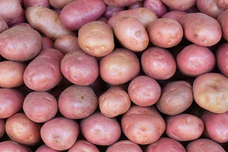 detail picture of red potatoes in farmer marketの写真素材