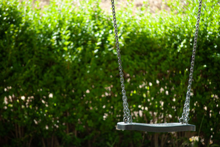 Lonely swing on a green background of park.