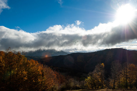 Mountain landscape with forests of green, red, orange and yellow colors that contrast the landscape....