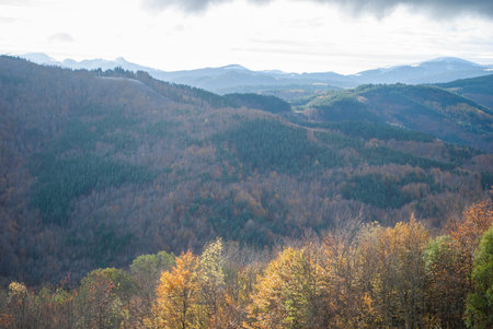Mountain landscape with forests of green, red, orange and yellow colors that contrast the landscape....