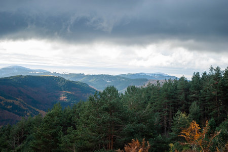 Mountain landscape with forests of green, red, orange and yellow colors that contrast the landscape....