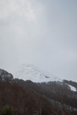 Snowy mountain scenery over contrasting red and green forestsの写真素材