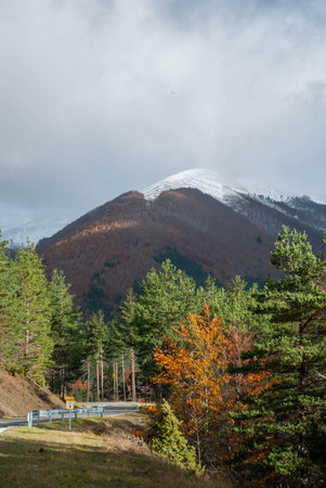 Road through high mountains with forests contrasting red and green autumn colors and some snow.