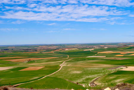 Plain of agricultural fields with a clear blue skyの写真素材