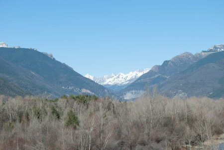 Majestic Mountain Scenery with Clear Blue Sky and Towering Treesの写真素材