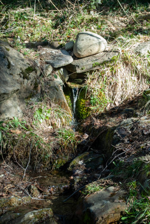 The Natural Beauty of a Mountain River and Forestの写真素材