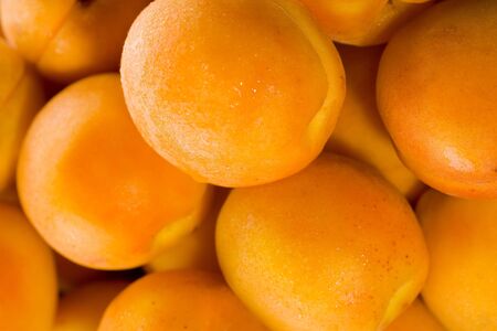 Fresh natural apricot backgroundの写真素材