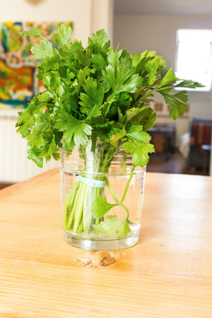 Parsley in a glass of water on the plank table.の写真素材