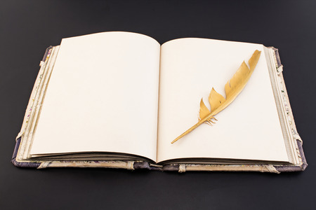 Gold feather and book on a black background.の写真素材