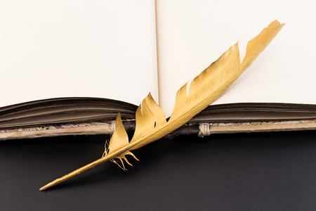 Gold feather and book on a black background.の写真素材