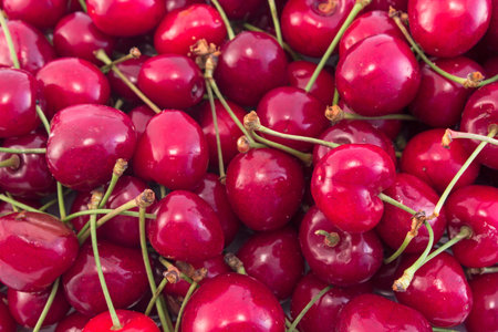 Fresh Ripe Cherries as Background.
