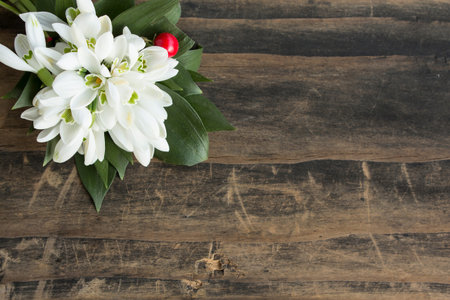 Fresh Snowdrops on a Rustic Wooden Table.の写真素材