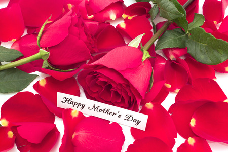 Happy Mother's Day,  Greeting Card with Two Roses and Rose Petals.の写真素材