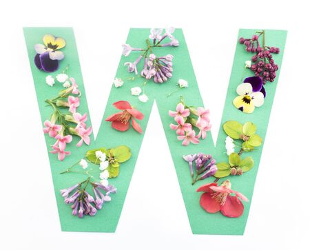 Letter W Made of Spring Flowers and Paper, on White Background.の写真素材