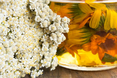 Herbal Medicine, Background,  Yarrow and Calendula Oil Close Up.の写真素材