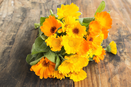Marigold, Calendula Officinalis on a Rustic Wooden Background.の写真素材
