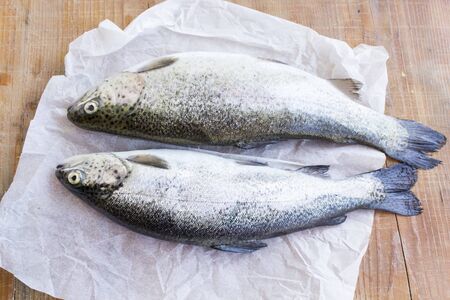 Two Fresh Trouts on the Table.の写真素材