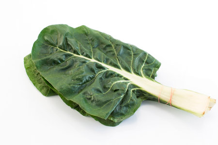 Swiss Chard Isolated on White.の写真素材