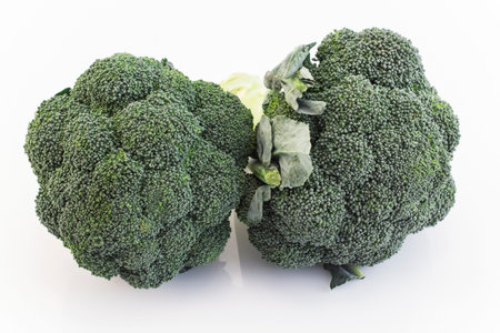 Fresh Broccoli Isolated on White.の写真素材