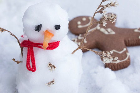 Concept of Winter Depression with Snow White and a Gingerbread Man.の写真素材