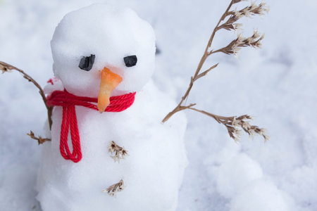 Concept of Winter Depression with Snow Whiteの写真素材