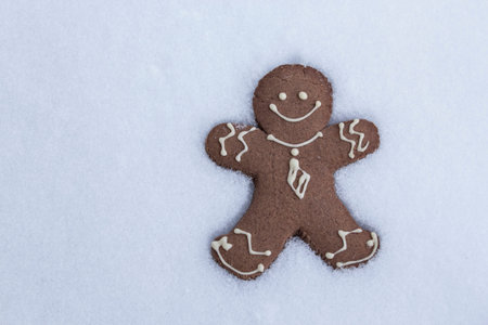 Gingerbread Man  in the Snow.