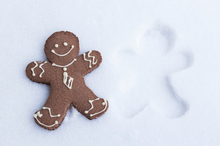 Gingerbread Man  in the Snow.の写真素材