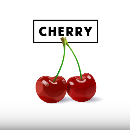 Cherry berry vector illustration. Juicy cherry collection For juice label, jamのイラスト素材