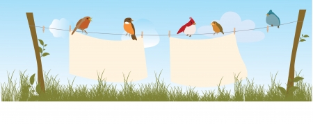 Birdsのイラスト素材