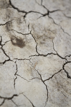 Dry cracked earth, floor の写真素材
