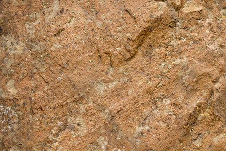Rock texture の写真素材