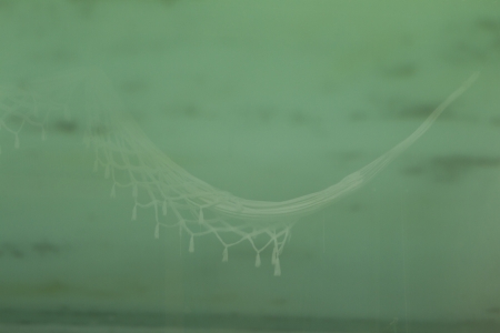 Clear water textureの写真素材