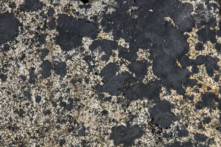 Rock texture の写真素材